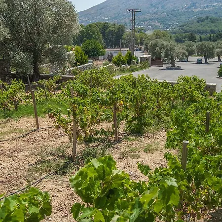Ktima Panakron Σπίτι διακοπών Agios Vasileios (Rethymno)