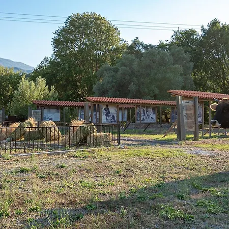 Ktima Panakron Σπίτι διακοπών *