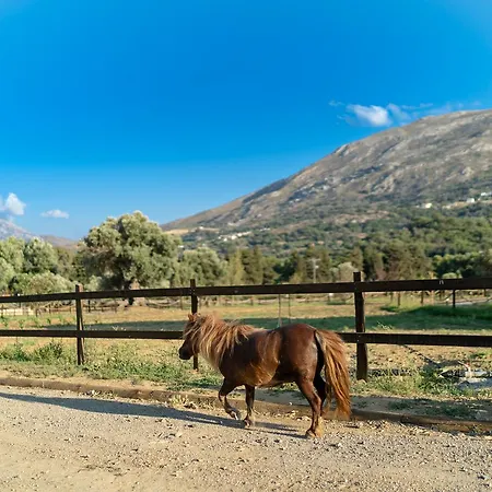 Ktima Panakron Agios Vasileios (Rethymno)