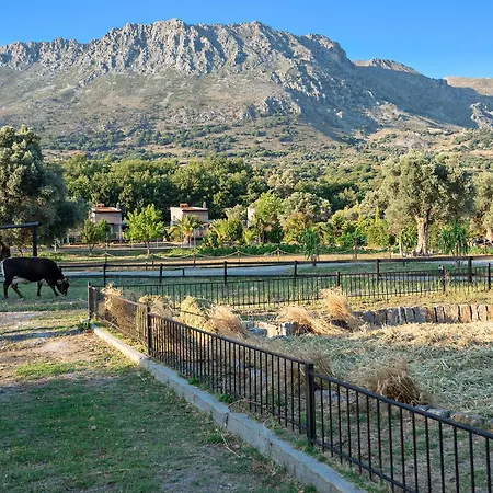 Ktima Panakron *