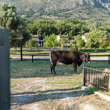 Ktima Panakron Σπίτι διακοπών *
